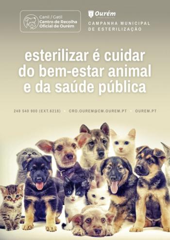 Município promove campanha de apoio à esterilização