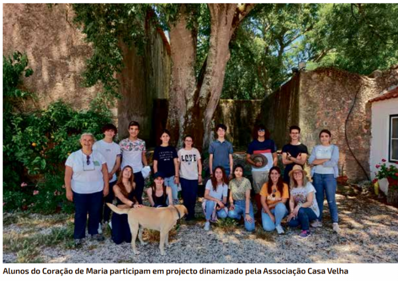 Colégio do Sagrado Coração de Maria participa no 