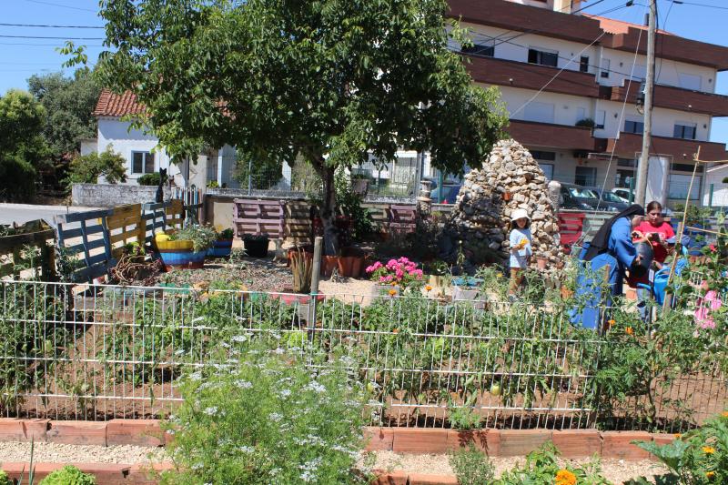 Crianças dão uma “mãozinha” na horta comunitária