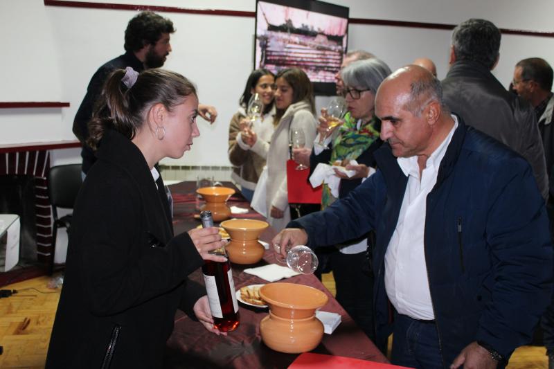 Ourém quer candidatar-se a capital do vinho