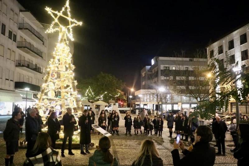 Árvore de Natal Rotária apoia ambiente 