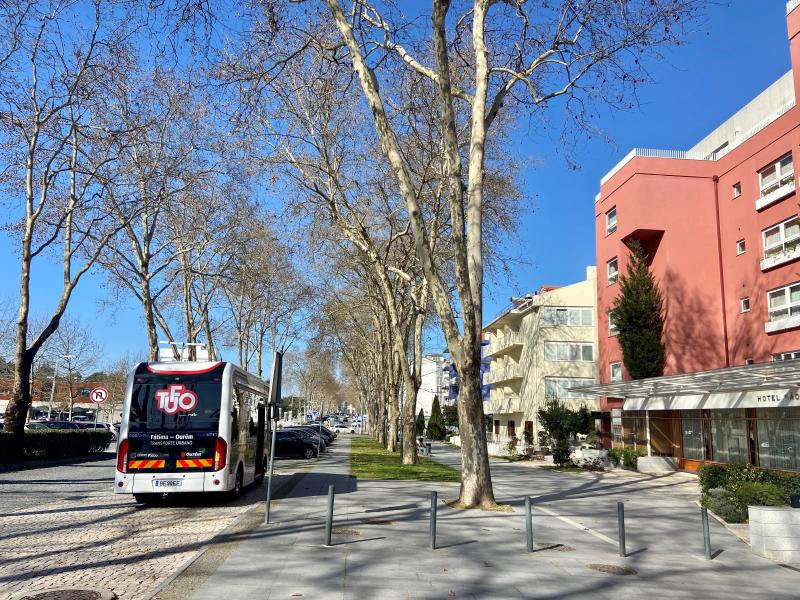 Faltam placas a indicar as paragens e os horários 