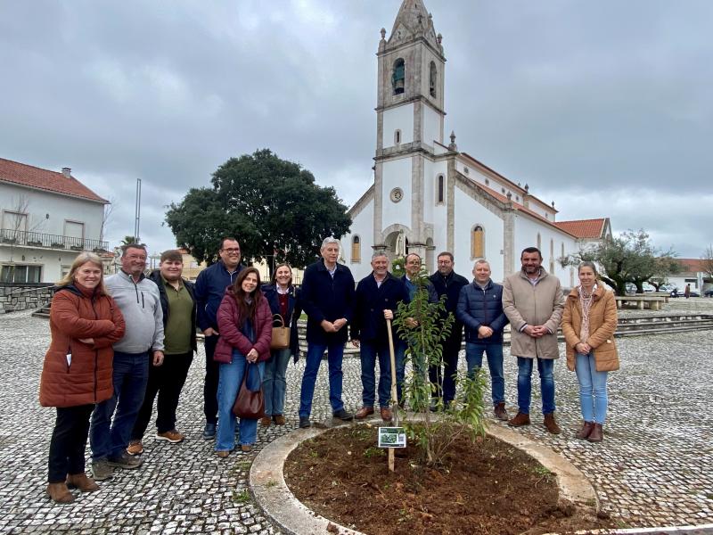 ADRO DA IGREJA MATRIZ GANHA NOVAS ÁRVORES