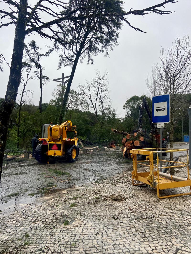 Mais de dois milhões em danos no Santuário
