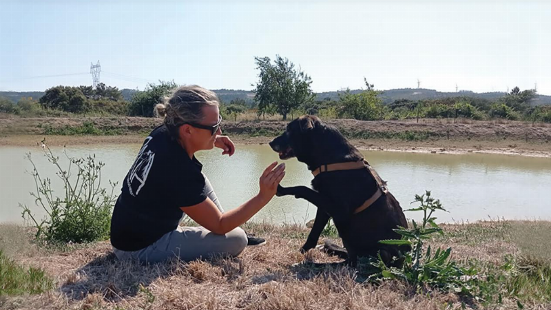 Fátima tem academia especializada em treino canino